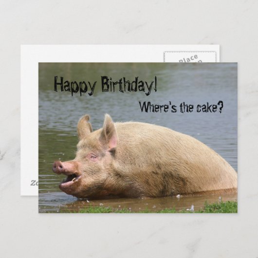 Greedy pig Verjaardag Briefkaart (Voorkant / Achterkant)