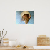 Greedy Rat Poster (Keuken)