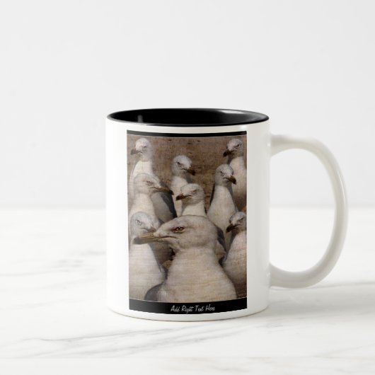 Greedy Scavaging Seagulls - CUSTOM MOK (Rechts)