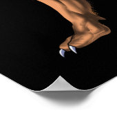 Greek Mythology Chimera Poster (Hoek)