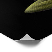 Greek Mythology Goddess Medusa Poster (Hoek)