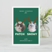 Green 2 Pet Photo Meowy Kerstvakantie Kaart (Staand voorkant)