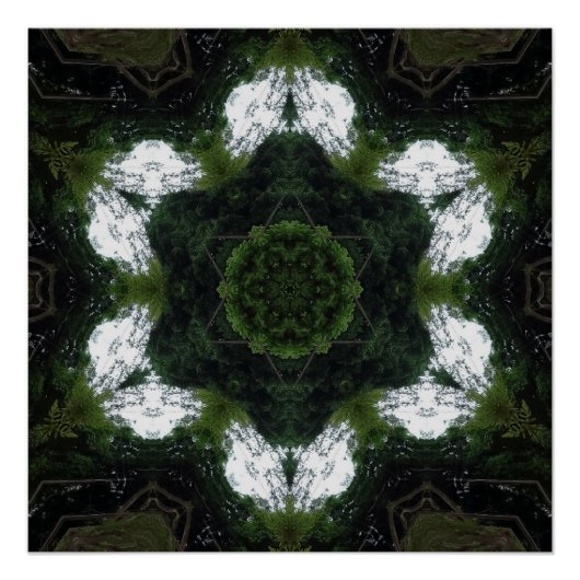 GREEN ABSTRACT DRAWING. SAMER BRASIL 1 PERFECT POSTER (Voorkant)