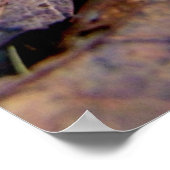 Green Acorn in de Bossen Poster (Hoek)