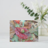 Green Acorn op een rode Herfst Leaf Briefkaart (Staand voorkant)