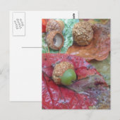 Green Acorn op een rode Herfst Leaf Briefkaart (Voorkant / Achterkant)