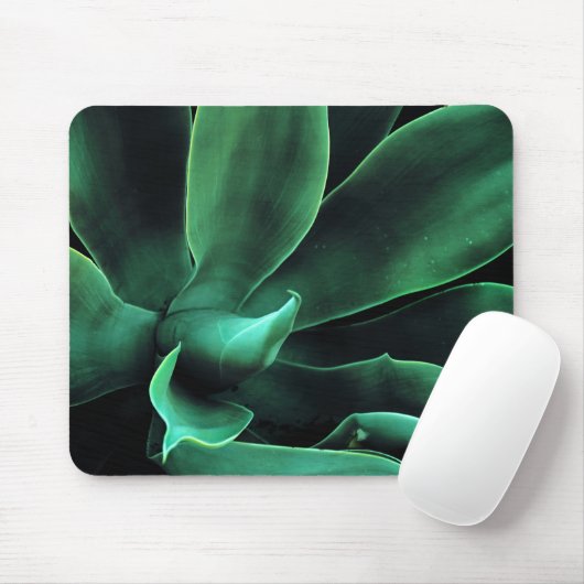 Green Agave Attenuata Muismat (Met muis)