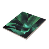 Green Agave Attenuata Tegeltje (Zijkant)