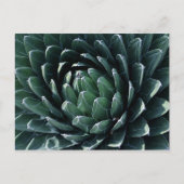 Green Agave Briefkaart (Voorkant)