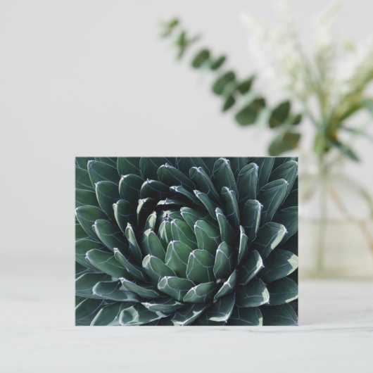 Green Agave Briefkaart (Staand voorkant)