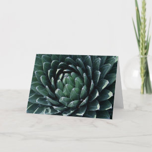 Green Agave Kaart