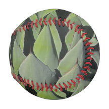 Green Agave Leaves Botanical Photo Southwest