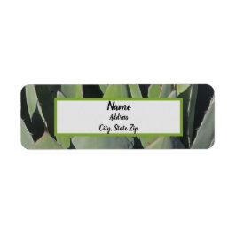 Green Agave Leaves Botanical Photo Southwest Etiket