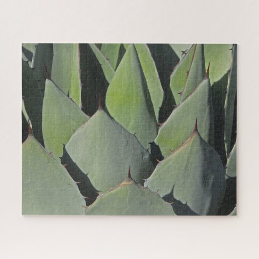 Green Agave Leaves Botanical Photo Southwest Legpuzzel (Horizontaal)