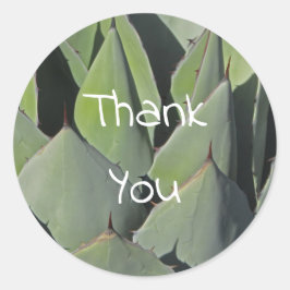 Green Agave Leaves Botanical Photo Southwest Ronde Sticker
