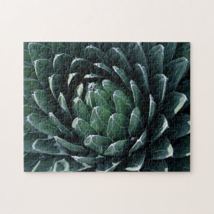 Green Agave Legpuzzel