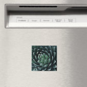 Green Agave Magneet (Insitu (Vaatwasser))