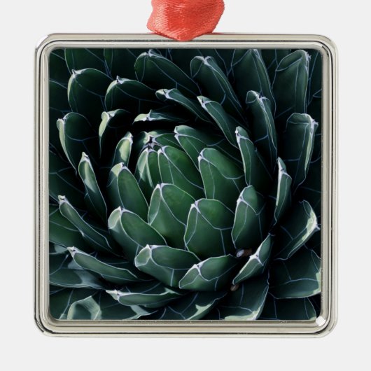 Green Agave Metalen Ornament (Voorkant)