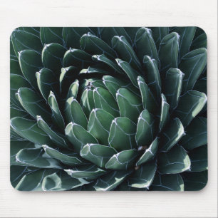 Green Agave Muismat