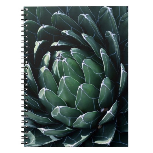 Green Agave Notitieboek (Voorkant)