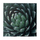 Green Agave Tegeltje (Voorkant)