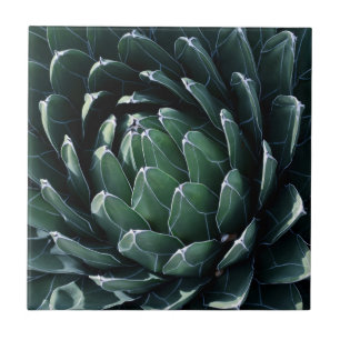 Green Agave Tegeltje