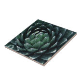 Green Agave Tegeltje (Zijkant)