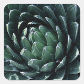 Green Agave Vierkante Sticker (Voorkant)