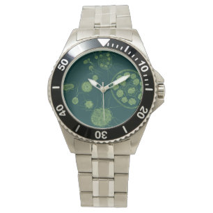 Green Algae Pandorina morum Horloge