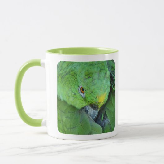 Green Amazon Parrot Mok (Links)
