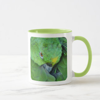 Green Amazon Parrot Mok