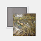Green Anaconda Magneet (Voorkant / Achterkant)