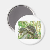 Green Anaconda Magneet (Voorkant / Achterkant)
