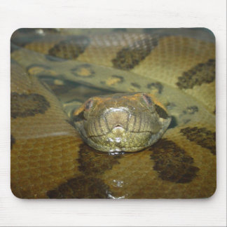 Green Anaconda Muismat