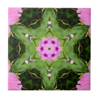 GREEN AND PINK ABSTRACT DRAWING. SAMER BRASIL. 4 TEGELTJE