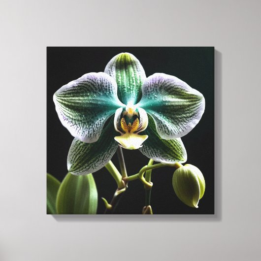 Green and White Orchid Canvas Afdruk (Voorkant)
