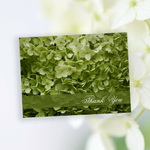 Green Annabelle Hydrangea Floral Briefkaart