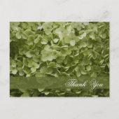 Green Annabelle Hydrangea Floral Briefkaart (Voorkant)
