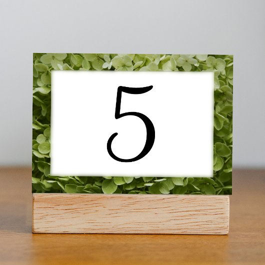 Green Annabelle Hydrangea Floral Table Numbers Kaart
