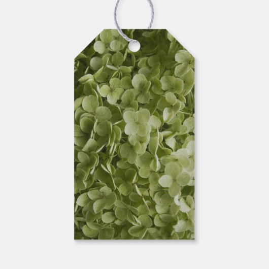 Green Annabelle Hydrangea Floral Wedding Label Cadeaulabel (Achterkant)