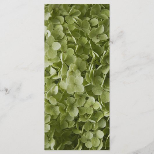 Green Annabelle Hydrangea Floral Wedding Programme Programmakaart (Achterkant)