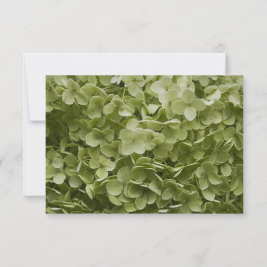 Green Annabelle Hydrangea Floral Wedding RSVP (Achterkant)