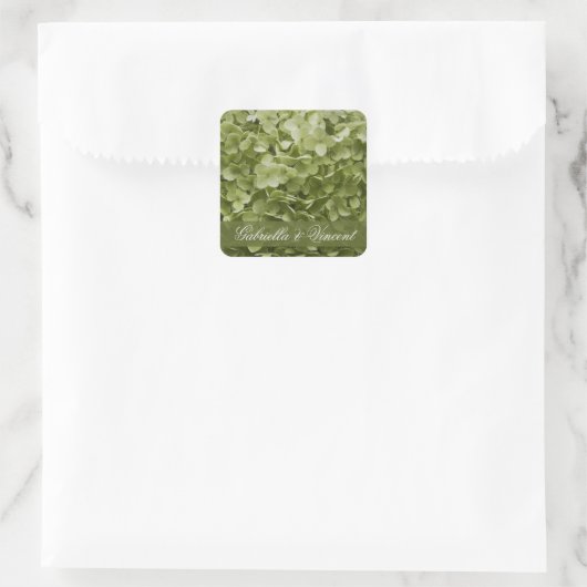Green Annabelle Hydrangea Floral Wedding Vierkante Sticker (Tas)