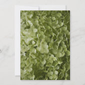 Green Annabelle Hydrangea Flower Baby shower Kaart (Achterkant)