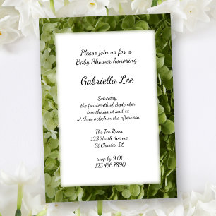 Green Annabelle Hydrangea Flower Baby shower Kaart