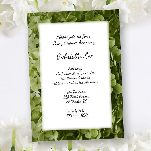Green Annabelle Hydrangea Flower Baby shower Kaart