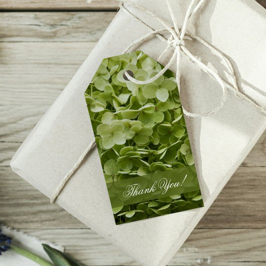Green Annabelle Hydrangea Flower Wedding Label Cadeaulabel