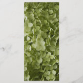 Green Annabelle Hydrangea Flower Wedding Programme Programmakaart (Voorkant)