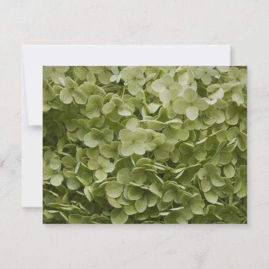 Green Annabelle Hydrangea Flower Wedding RSVP Kaar (Achterkant)