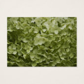 Green Annabelle Hydrangea Wedding Charity Favors Visitekaartjes (Achterkant)